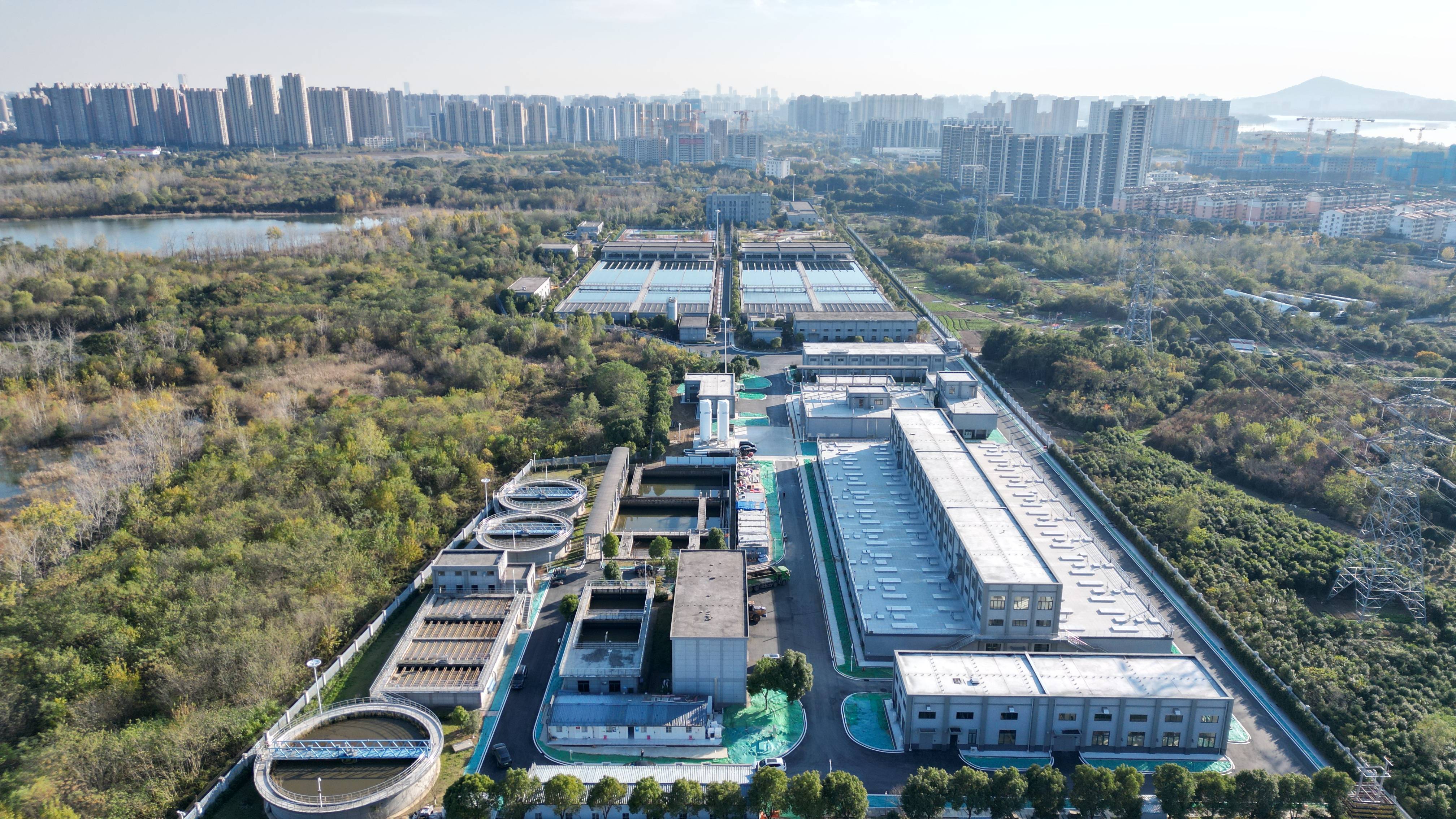 泸水市合肥专业企业价值增长(合肥市重点企业产业目录)