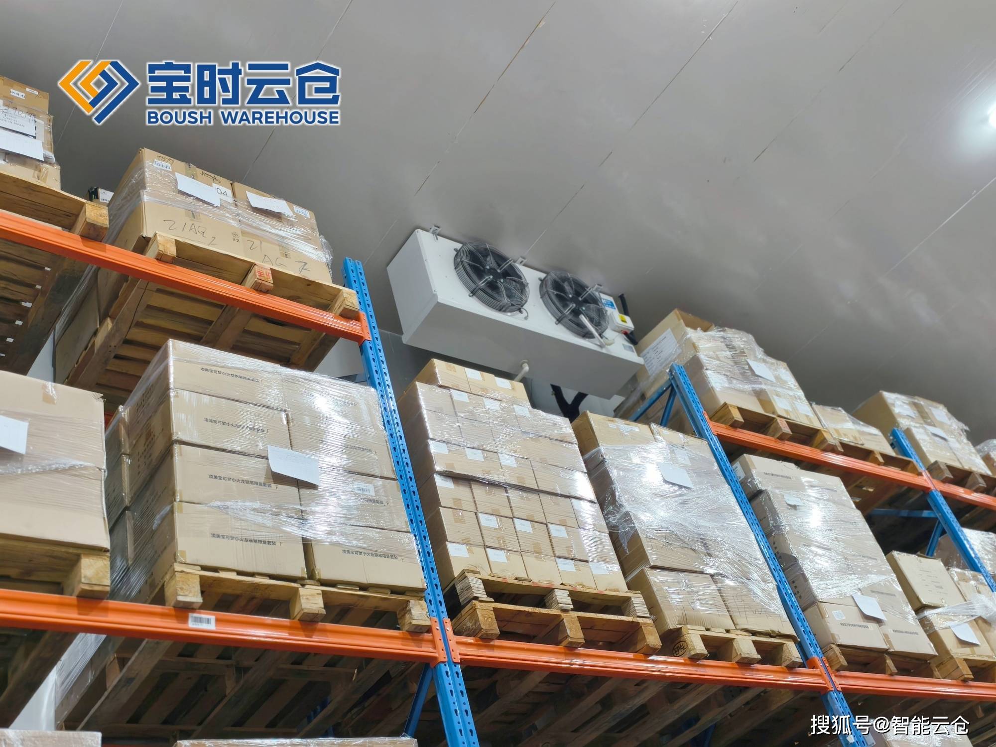 泸水市领先物流品牌升级(领先物流服务商是自营物流)