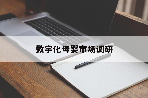 泸水市数字化母婴市场调研(数字化母婴市场调研报告)